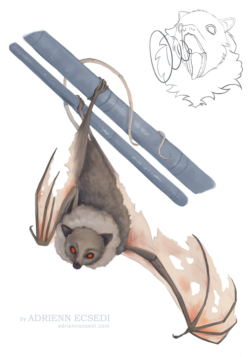 hanging bat drawing